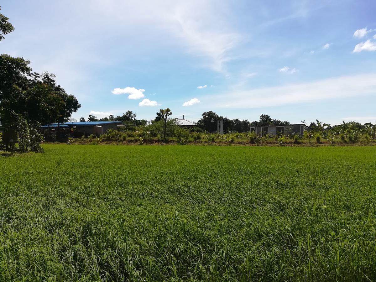 Bn Resort Ban Nong Chum Saeng Exterior foto
