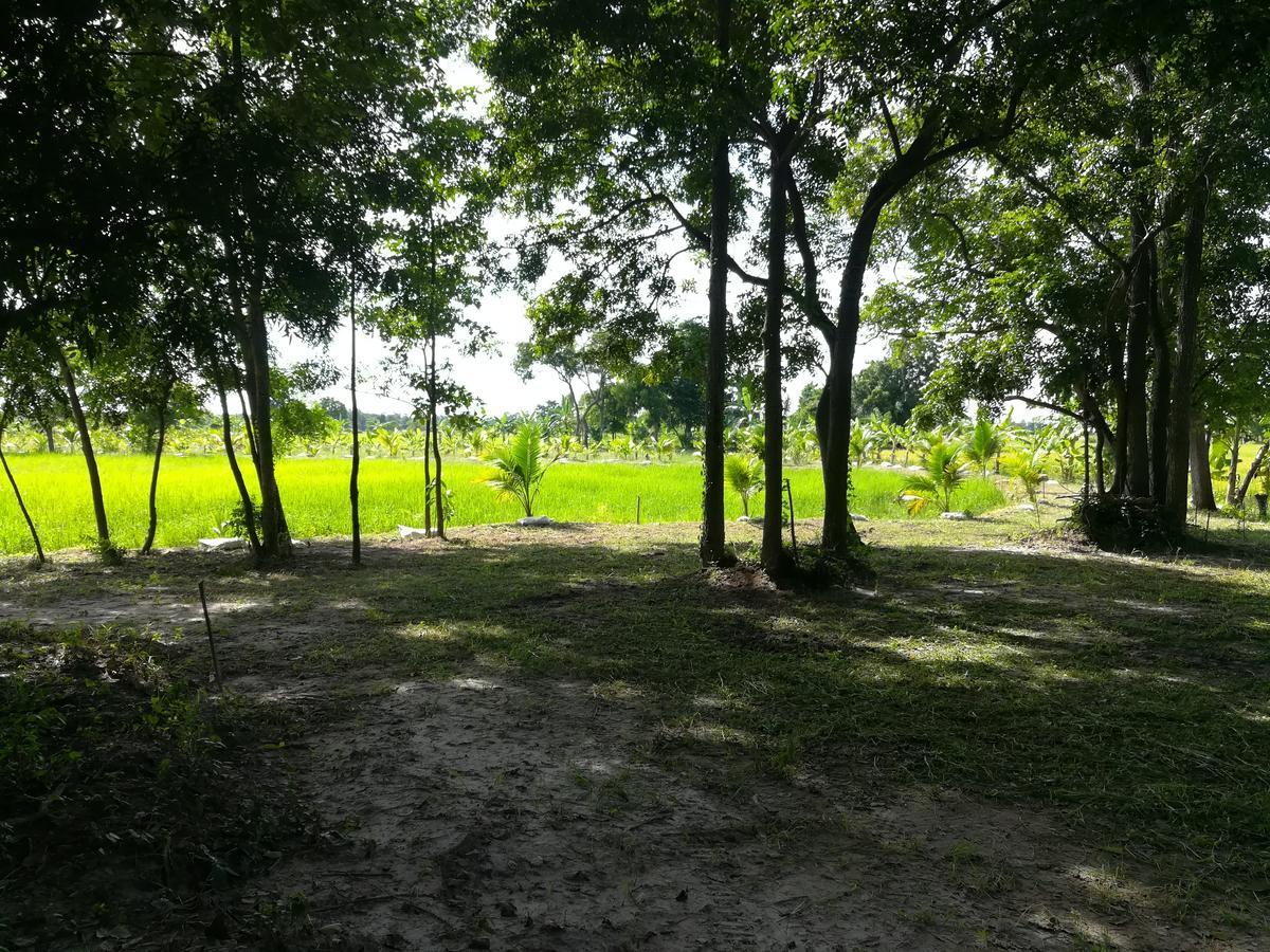 Bn Resort Ban Nong Chum Saeng Exterior foto