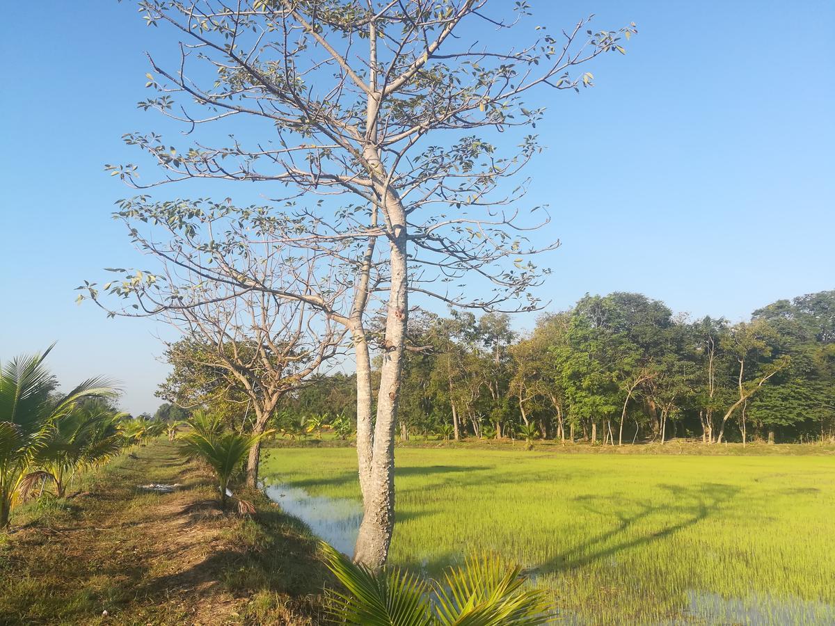 Bn Resort Ban Nong Chum Saeng Exterior foto
