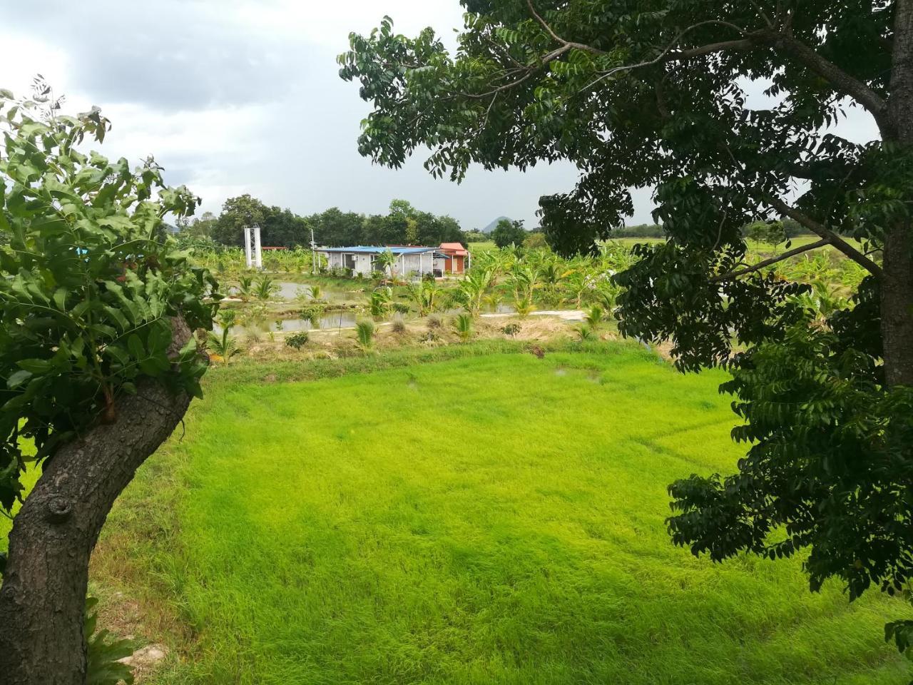 Bn Resort Ban Nong Chum Saeng Exterior foto